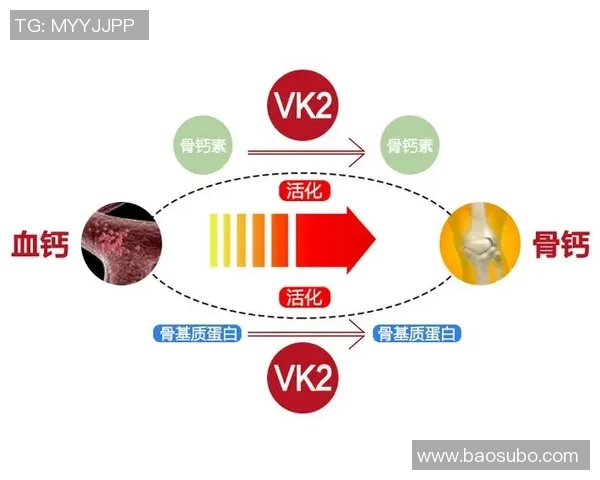 体育生补钙营养品品牌推荐助力运动表现与骨骼健康